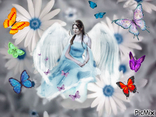 ange papillon - Animovaný GIF zadarmo