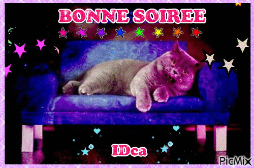 Bbonne soirée - Zdarma animovaný GIF