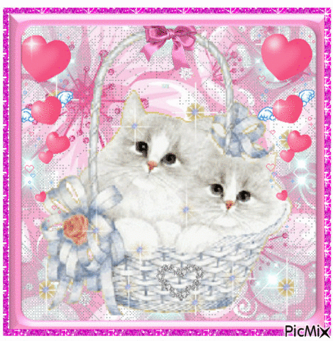 Two white cats in a basket. - Бесплатный анимированный гифка