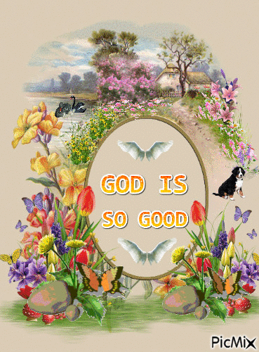 SOME OF GOD'S CREATIONS, ANGEL WINGS, AND THE WORDS GOD IS SO GOOD. - Animovaný GIF zadarmo