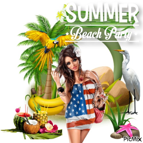 Summer Beach Party - ingyenes png