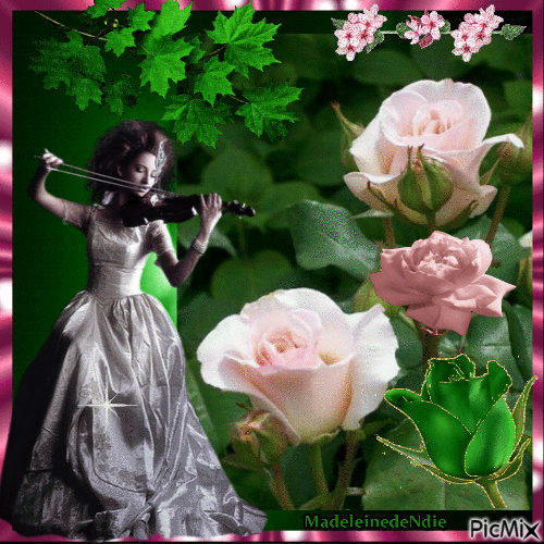 musicienne parmi les roses - Nemokamas animacinis gif