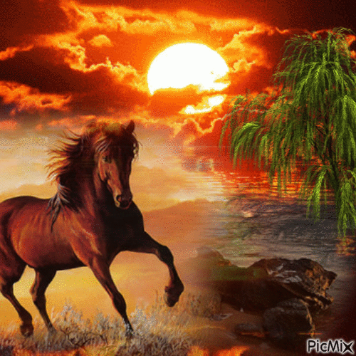 Cheval - Free animated GIF