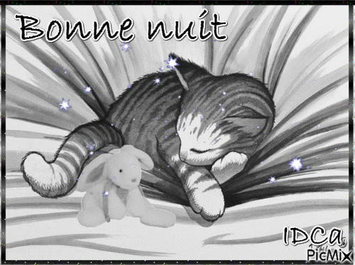 Bonne nuit les chatons - Animovaný GIF zadarmo