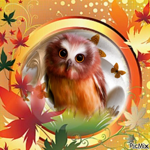 owl - ücretsiz png