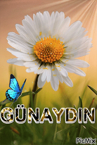 GÜNAYDIN - Gratis animeret GIF
