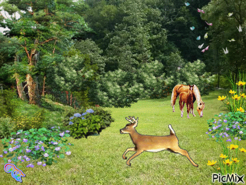 A vadonban. - Ücretsiz animasyonlu GIF