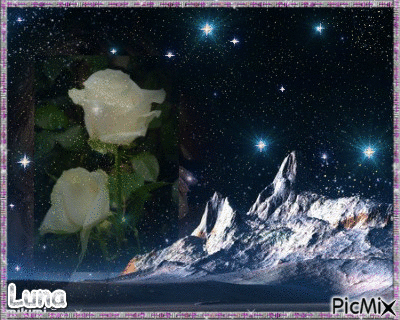 rosa de estrelas - Free animated GIF