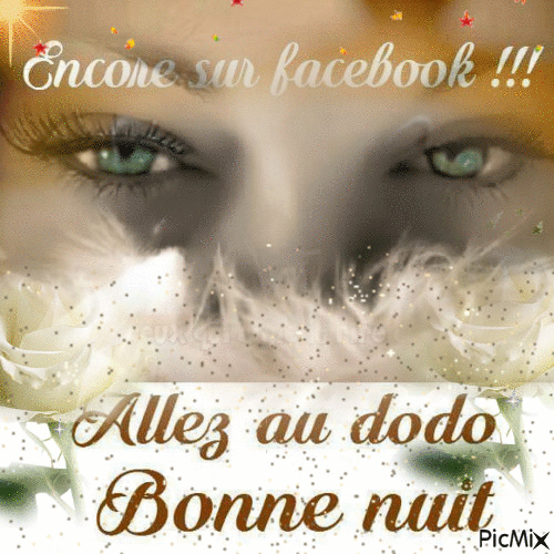 bonne nuit facebook - Bezmaksas animēts GIF