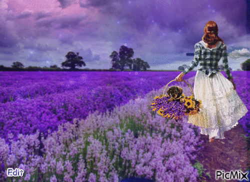 Resultado de imagen de mujer en campo de flores pinterest gifs"