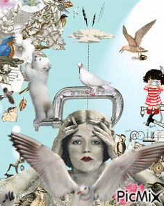 Entre aves y otras criaturas - Ingyenes animált GIF