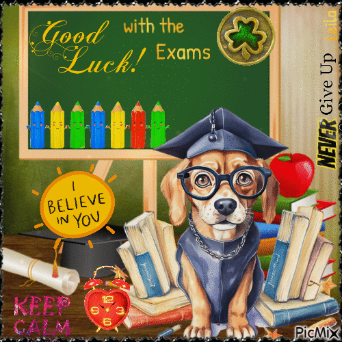 Good Luck with the Exams. I Belive in You - Kostenlose animierte GIFs