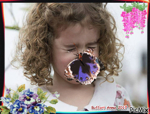 gros papillon sur le nez - 免费动画 GIF