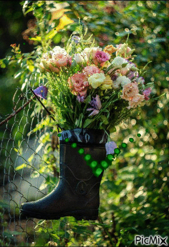bota flores - Gratis geanimeerde GIF