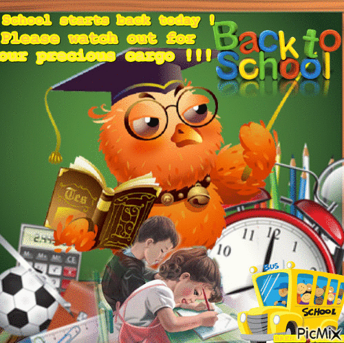 OWL SCHOOL - Zdarma animovaný GIF