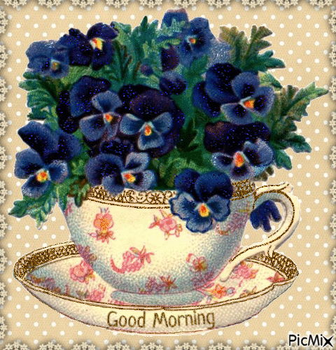 Good Morning, violets - 免费动画 GIF