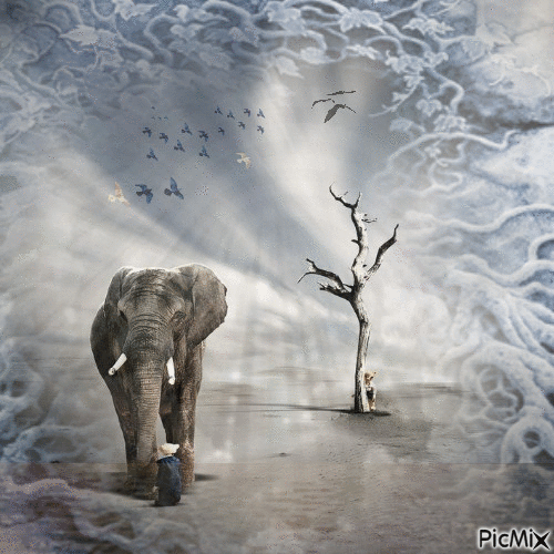 Elefante bajo el sol de África. - Zdarma animovaný GIF