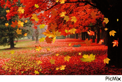 L'automne - Besplatni animirani GIF