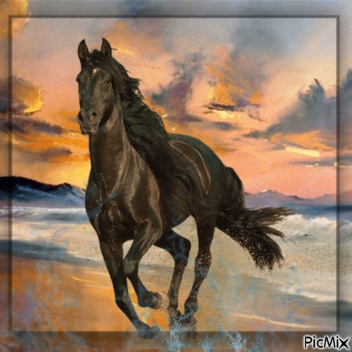 Pferd im Sonnenuntergang - ücretsiz png