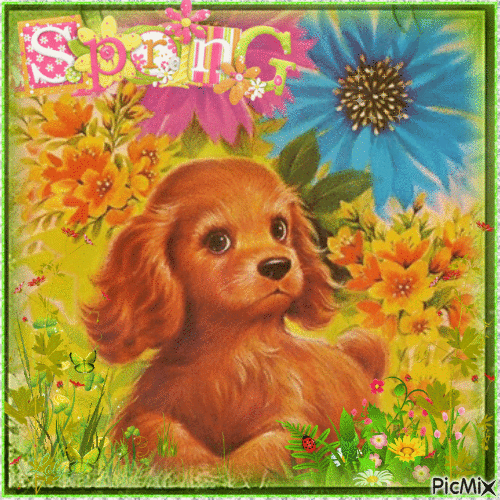 chien printemps - GIF animado grátis