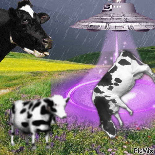 cow - Δωρεάν κινούμενο GIF