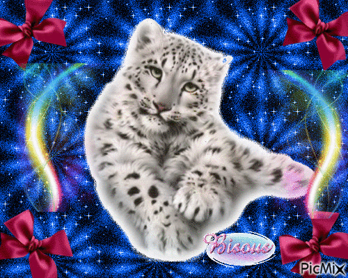 jolie tigre blanc - GIF animate gratis