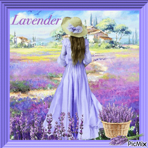 Woman in lavender field - Gratis animerad GIF