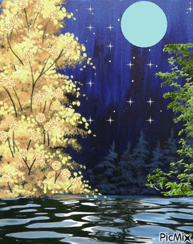 Beautiful Forest - 無料のアニメーション GIF