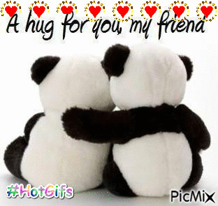 panda love hug - Free animated GIF