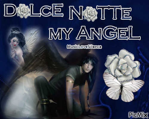 dolce notte my angel - PNG gratuit