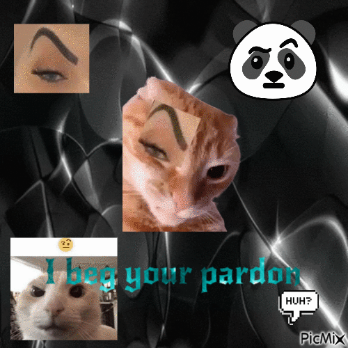 I beg your pardon - Δωρεάν κινούμενο GIF