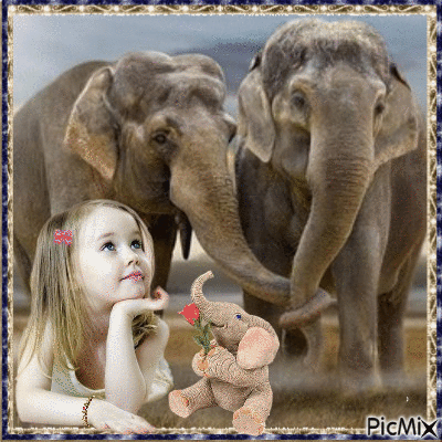 girl and elephants - Gratis animerad GIF