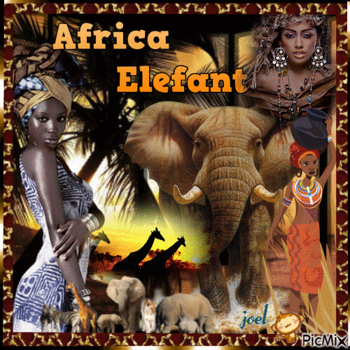 africa elefant - Безплатен анимиран GIF