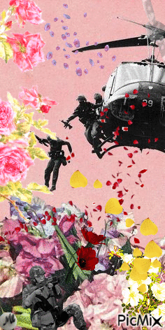 Guerra floral - Free animated GIF