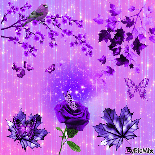 Un monde violet 💜 - Gratis geanimeerde GIF
