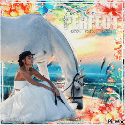 Frau und weißes Pferd - GIF animé gratuit