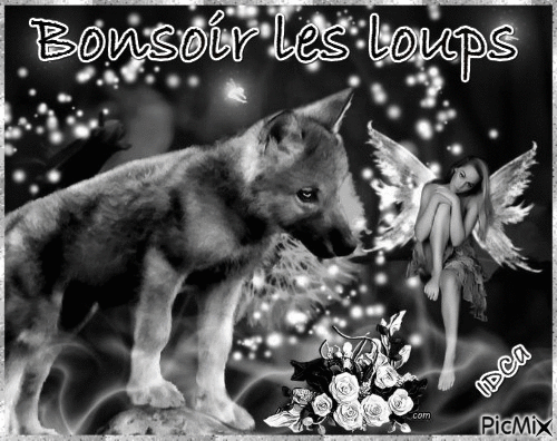 Bonsoir les loups - Бесплатни анимирани ГИФ