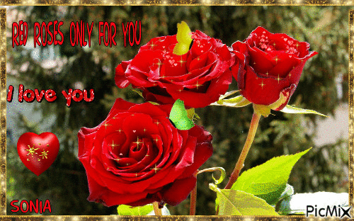 red roses - GIF animé gratuit