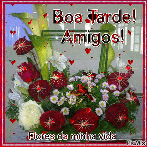 amigos-sao-flores-pedacos-coloridos-de-esperanca_4333.gif (400×344