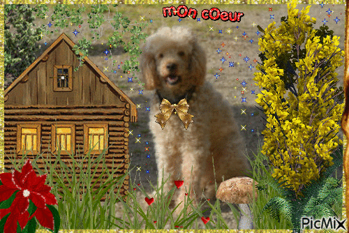Mon petit chien Diabolo ♥ - GIF animado gratis