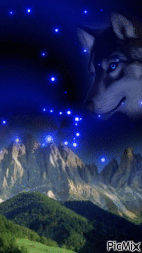 loup nuit montagne - GIF animado gratis