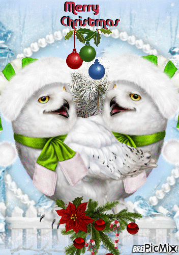Christmas owl - Darmowy animowany GIF