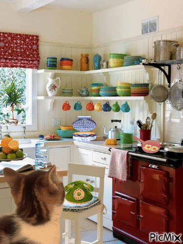 En mi cocina con mi gato... - 免费动画 GIF