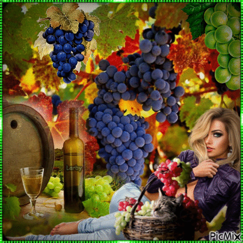 Vine Harvest !!!!! - Free animated GIF