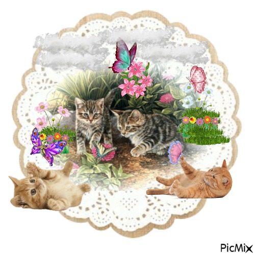 Kittens Discover Butterflys - фрее пнг