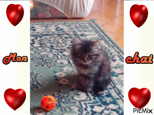 ♥ mon chaton ♥ - Gratis geanimeerde GIF