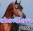 chevalove - 免费动画 GIF