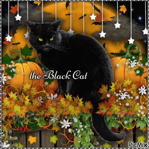The Black Cat-RM=10-29-23 - GIF animé gratuit