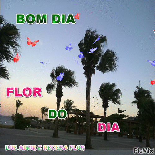 DOE AMOR E RECEBA FLOR - Безплатен анимиран GIF