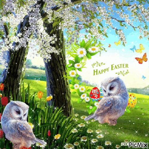 Easter Owl - Animovaný GIF zadarmo